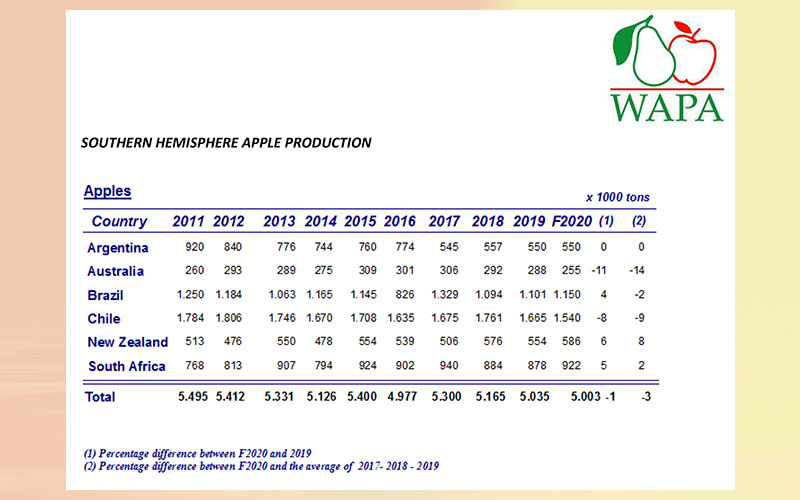 World Apple And Pear Association Presents Annual Southern Hemisphere Production Forecast Fruit