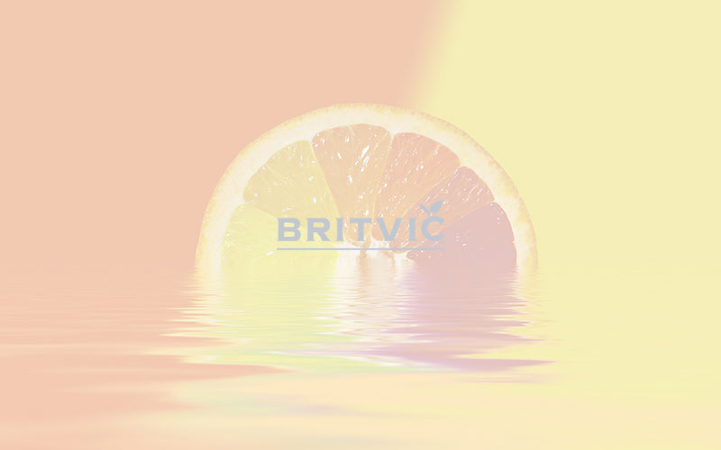 Britvic sale of three bottling facilities in France