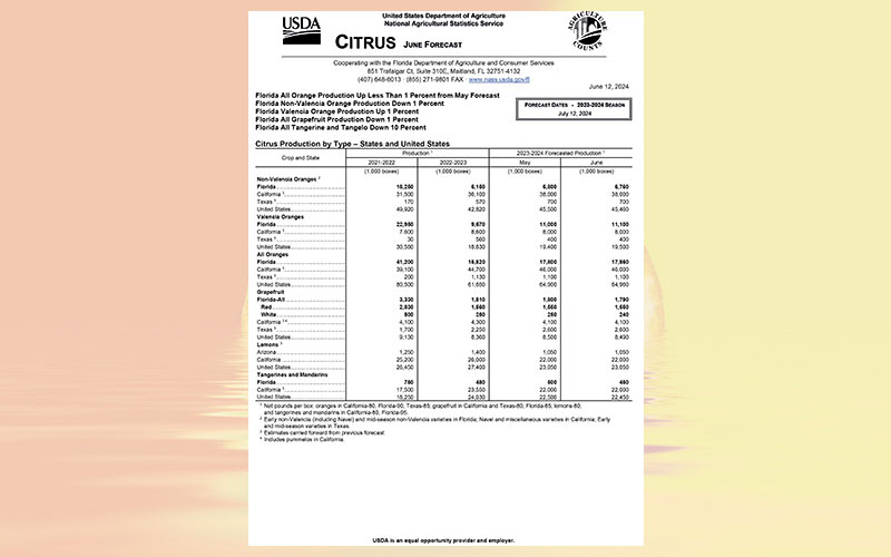 USDA: Florida citrus June 2024 forecast
